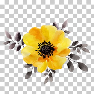 Flower Yellow Watercolor painting Stock illustration, Yellow flowers, close-up photography of yellow magnolia PNG clipart