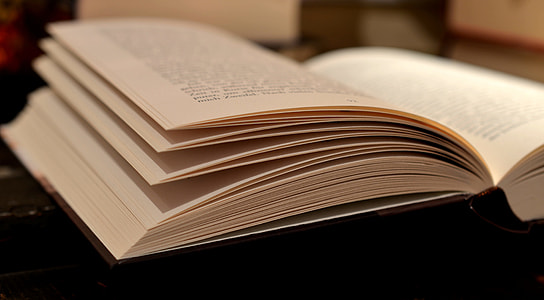 open brown hardbound book thumbnail