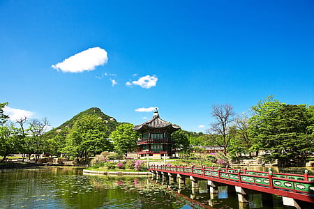 red and green bridge in the middle of pond during daytime thumbnail