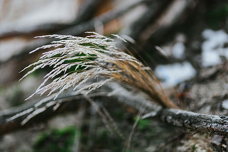 A walk in an autumn forest thumbnail