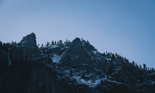 aerial view of trees near snowy mountain thumbnail