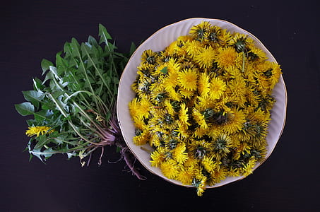 flatlay photo of plate of sunflowers thumbnail