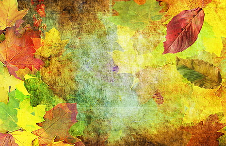 assorted leaves painting thumbnail