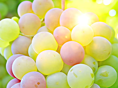 closeup photography green grapes thumbnail