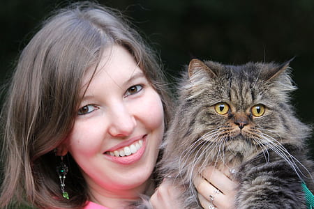 woman holding gray cat thumbnail
