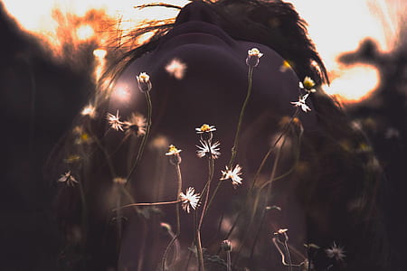 nature, person, woman, flowers thumbnail