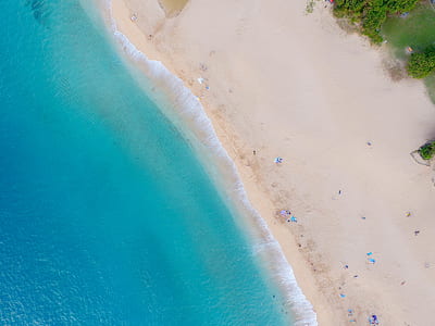 bird's eye view of seashore thumbnail