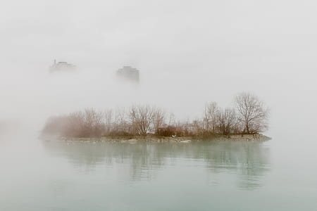 A fog covered city waterside with trees and top of the buildings in the background thumbnail
