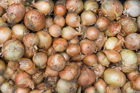 Onions on onions on onions thumbnail