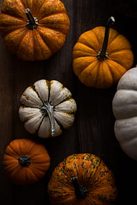variety of pumpkins thumbnail