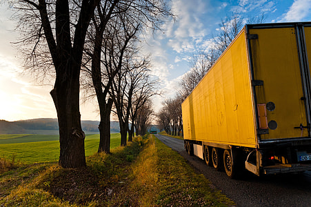 yellow truck at the road near leafless tree thumbnail