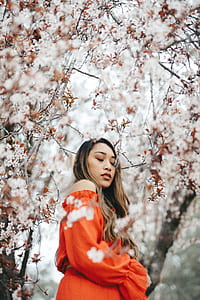 woman taking picture under cherry blossom tree thumbnail