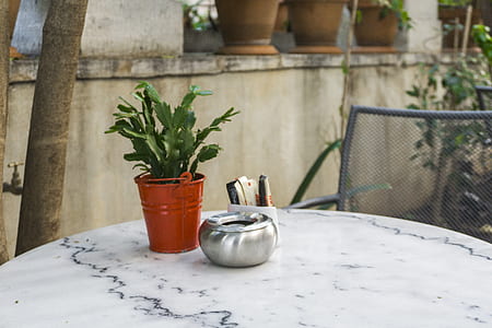 green leafed plant in brown tin bucket on tale thumbnail