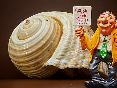 man wearing yellow blazer holding house for sale sign illustration thumbnail