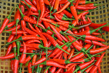 red jalapenos thumbnail