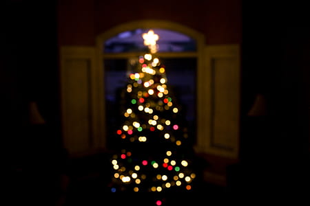 Christmas tree with lightened string lights and star thumbnail