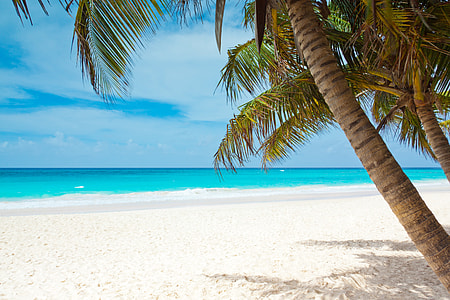 photo of beach during daytime thumbnail