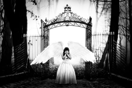 grayscale photo of woman wearing dress with wings standing in front of floral gate thumbnail