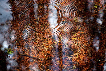 photograph of clear body of water thumbnail