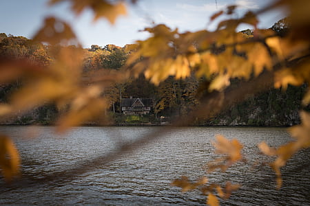 house by body of water thumbnail