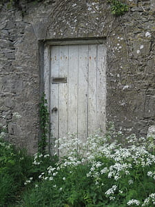 closed door in front of white flowers thumbnail
