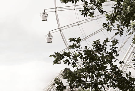 ferris wheel near green tree thumbnail