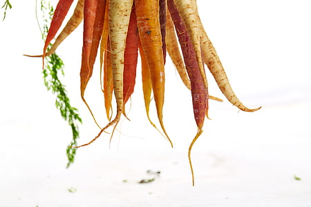 orange carrots at daytime thumbnail