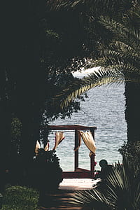 gazebo with curtain near body of water during daytime thumbnail