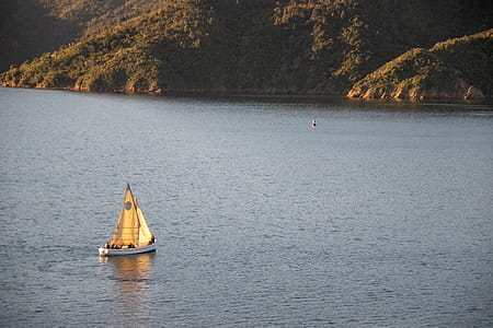 White Sail Boat on Water Near Land thumbnail