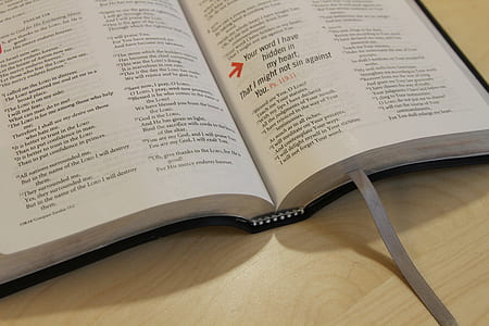 black labeled open book thumbnail
