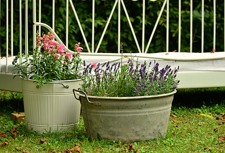 plants on metal buckets during daytime thumbnail