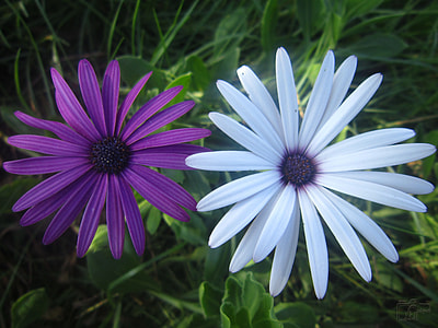 With Each Other, Photography thumbnail
