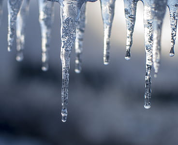 shallow focus photography of ice thumbnail