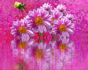 pink flowers digital wallpaper thumbnail