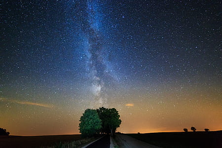 view of aurora on top of green leafed tree thumbnail