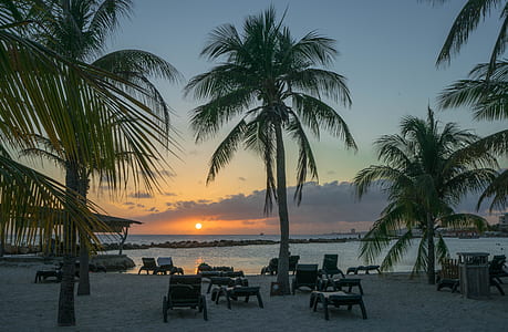beach during golden hour thumbnail