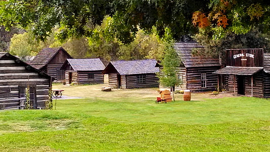 empty houses in forest at daytime thumbnail