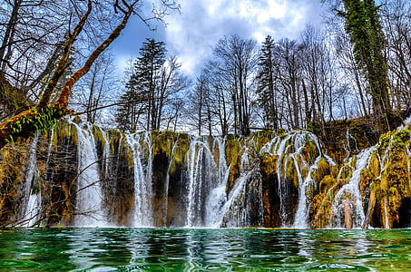 green leaf trees above falls thumbnail