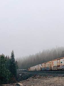 green pine tree beside train on railway thumbnail