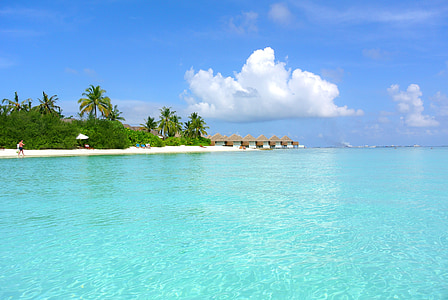 photography of beach resort at daytime thumbnail