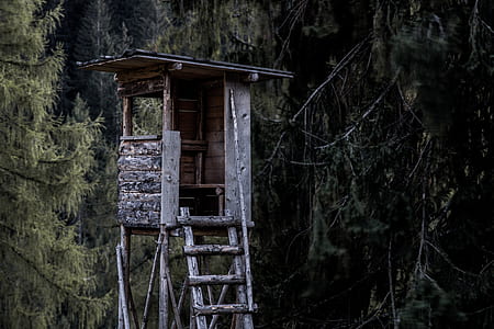 brown wooden guard tower surrounded by tall tree at daytime thumbnail