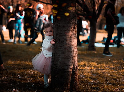 selective focus photography of toddler girl hugging tree trunk thumbnail