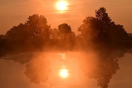 silhouette of trees during golden hour thumbnail