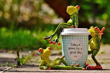 selective focus photo of three frogs in between of cup thumbnail