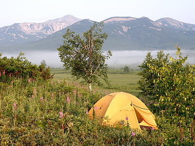 yellow tent near tree in distant of mountain thumbnail