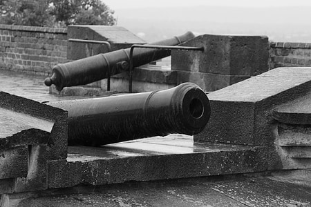 grayscale photo cannon thumbnail