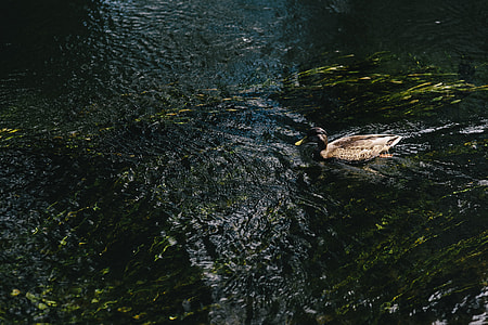 River thumbnail