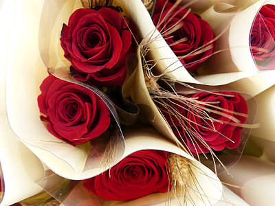 red roses thumbnail