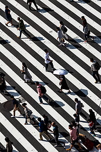 people walking in pedestrian lane thumbnail