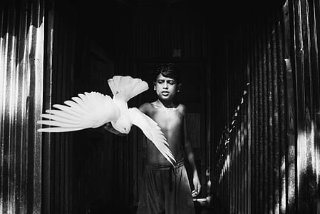 grayscale photography of topless child standing near flying bird between corrugated sheets thumbnail